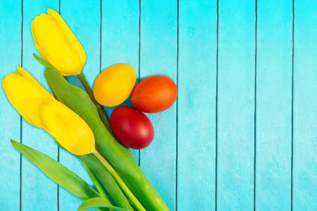 Yellow tulips with colored red, orange and yellow eggs on turquoise background. Easter background. Copy spaceの写真素材