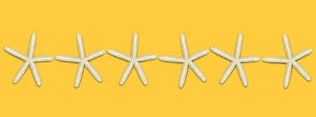 Starfish in a row in the middle on a yellow background. Banner. The idea of ?? rest, beach, tourism....