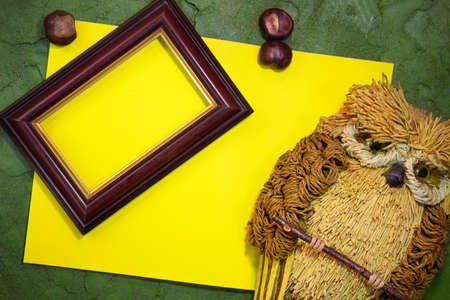 Yellow paper with owl and frame, chestnuts on green background. Place for text. Copy spaceの写真素材