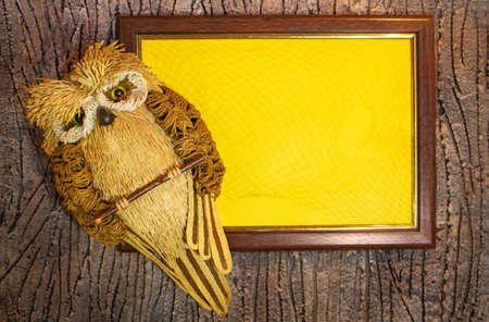 Owl. Frame with yellow background in frame with web for text. Tree bark background. Back to school. Autumn. Copy spaceの写真素材
