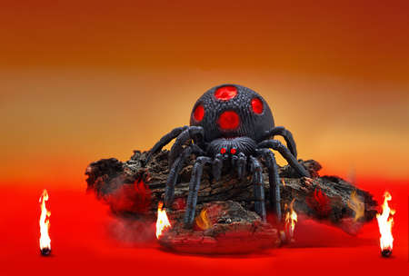 Large creepy black spider with red light inside sits on snag with fire. Spooky and scary atmosphere. Alien. Halloween. Copy spaceの写真素材
