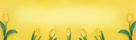 Fresh tulips on yellow background. Banner. Holiday, Birthday, International Women's Day, Mothers, 8 March, Saint Valentine's. Copy spaceの写真素材