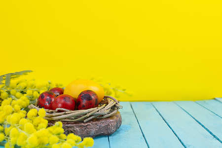 Red eggs in nest with mimosa. Yellow background with blue boards. happy easter. copy spaceの写真素材