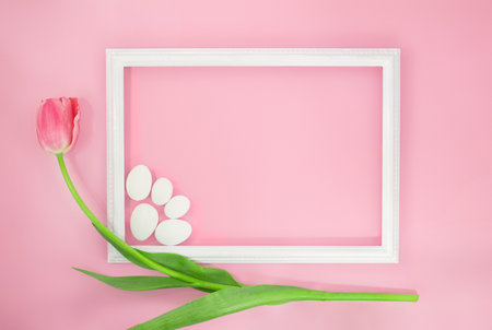 Tulip with frame and white stones on pink background. Holiday, Birthday, March 8, Mother's, International Women's Day, Valentine. copy spaceの写真素材