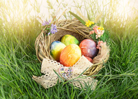 Painted Easter eggs in nest with bow and flowers on grass. Happy Easter concept. copy spaceの写真素材