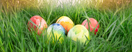 easter banner. Colored eggs in green grass. Easter concept. copy spaceの写真素材