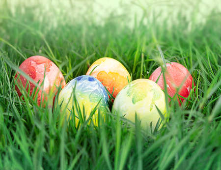 Colored eggs in green grass. Easter concept, hunter game. copy spaceの写真素材
