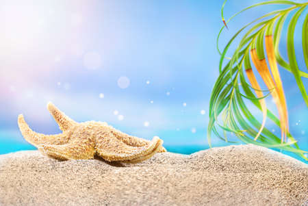 Starfish lies on sand on beach, palm tree branch and sun rays, sea is behind. Vacation and travel concept. copy spaceの写真素材
