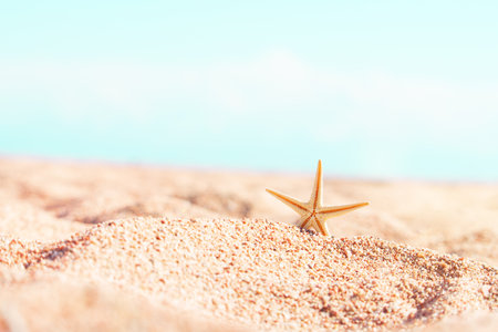 Starfish on sand summer beach, behind the sea, sunny. Relax, sea, travel. copy spaceの写真素材