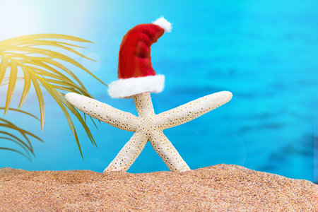 White starfish with Santa' hat on and of beach with sea and palm tree. Concept of Christmas, New Year in hot countries. copy spaceの写真素材