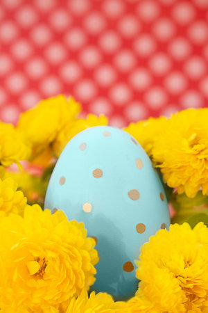 Painted blue egg among yellow chrysanthemums on a red background. vertical. Easter Egg Hunt. copy spaceの写真素材