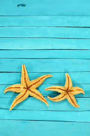Orange starfish on blue rustic nautical pier boards. Summer, sea background. Concept of travel, vacation. vertical and horizontal. copy spaceの写真素材