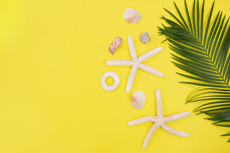 Starfish, shells with palm tree branch in side on yellow background. Concept of summer time, vacation, travel. copy spaceの写真素材
