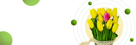 Bouquet of yellow tulips on white background with circles and green round. Banner. International women's, mother's day, March 8, birthday. copy spaceの写真素材