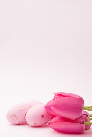 Colored eggs with tulips on pink background. Easter. vertical. copy spaceの写真素材
