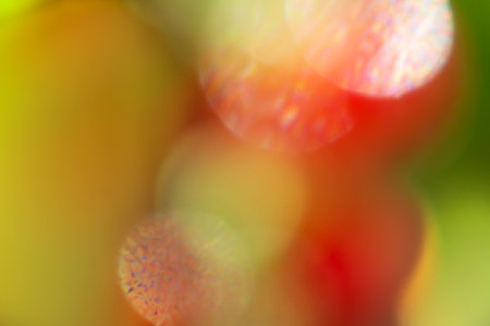 Abstract green-red with highlights background. Spring, Summer. copy spaceの写真素材