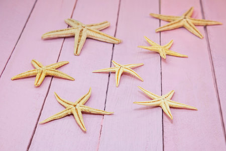 Starfish on pink boards. Travel, vacation, sea background. copy spaceの写真素材