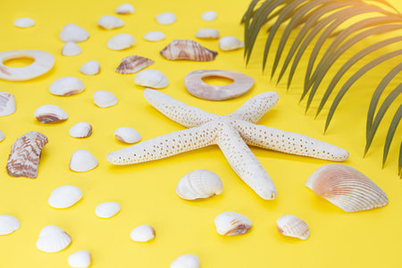 White starfish, shells with palm leaveson yellow background. Travel, holidays, summerの写真素材