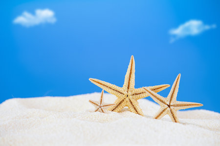 Starfish on white sand with sky. Rest, travel, summer in hot countries. copy spaceの写真素材