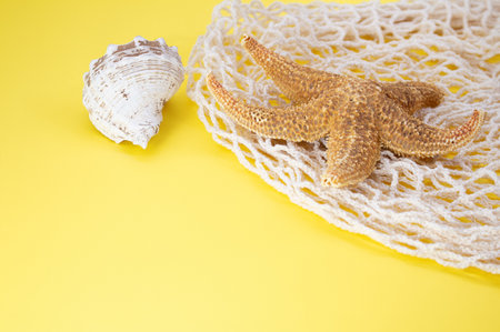 Starfish, shells with bag string bag on yellow background. Concept of summertime, vacation, travel. copy spaceの写真素材