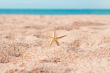 Starfish on sandy beach against backdrop of sea. Rest, holidays, summer in hot countries. copy spaceの写真素材