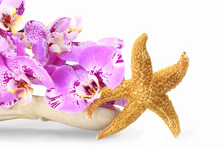 Orange starfish on white stone vase tray with purple orchid on white isolated background. Aesthetic photography. Travel, summer, relaxation, bath, spa. copy spaceの写真素材