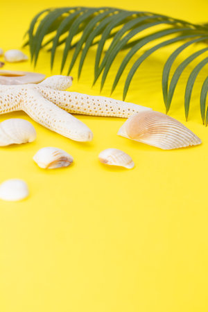 White starfish, shells with palm leaves on yellow background. vertical. Travel, vacation, summer. copy spaceの写真素材