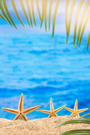 Orange starfish on sandy beach with palm tree behind sea background. vertical. Summer, vacation, tourism in hot country. copy spaceの写真素材