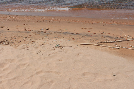 Soft sand on the beach with branches and pebbles near the water of the sea. Serenity, calm relaxing sunlight, summer mood, ecology, pollution. copy spaceの写真素材