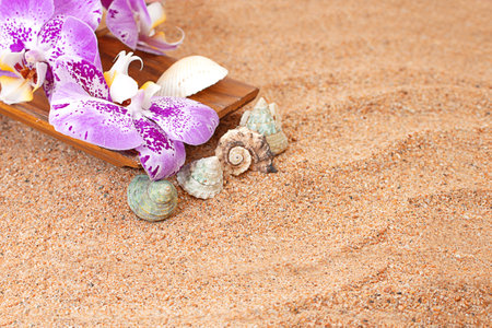 Purple orchid in wooden bowl on the sand of the beach with seashells. Aesthetic photography. Travel, summer, vacation, sauna, spa. copy spaceの写真素材