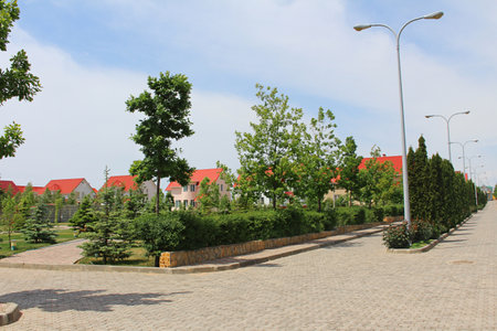 Crossroad with alleys with trees, fir with sidewalk and lanterns, behind red roofs of houses on sunny day in villageの写真素材