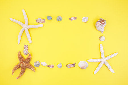 Starfish, shells in form of frame with place for text on yellow background. vacation, travel concept. copy spaceの写真素材