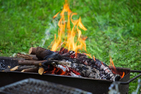 Fire on burning wood in barbecue grill on green grass. Rest, weekend, cookの写真素材