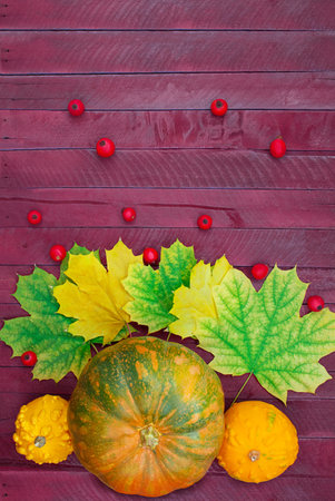 Orange-green, yellow pumpkins with maple leaves and rose hips on boards. Autumn, Thanksgiving day, Halloween. Food. Vertical, horizontal. Flat lay. Copy spaceの写真素材
