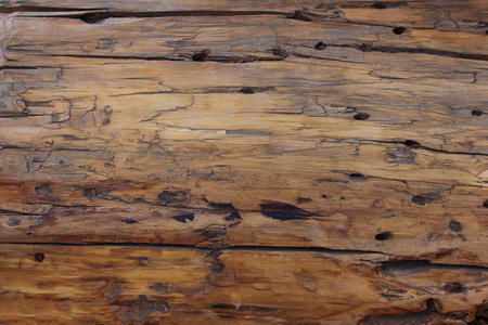 Wooden background. Aged brown wood raw natural abstract texture backdrop with cracks. Design element. Copy spaceの写真素材