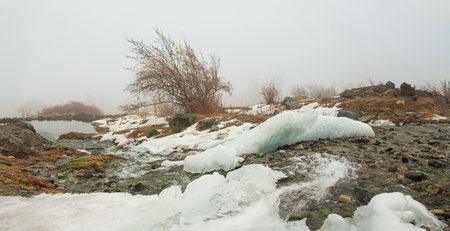 frozen ice in river with lake with ice floes and stones. Tree in fog. Natureの写真素材