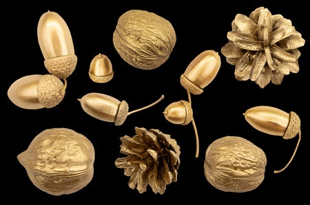 Golden collection of plants for flat lay. Walnuts, cones, acorns on white isolated background....