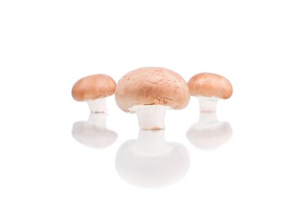 Fresh champignons isolated on white backgroundの写真素材