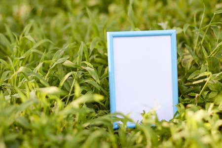 photo frame isolated on green grassの写真素材