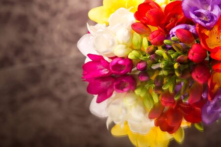 Blooming Freesia.の写真素材