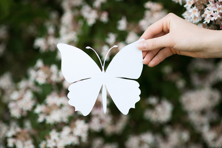 holding paper cut miniature butterfly over blooming treeの写真素材