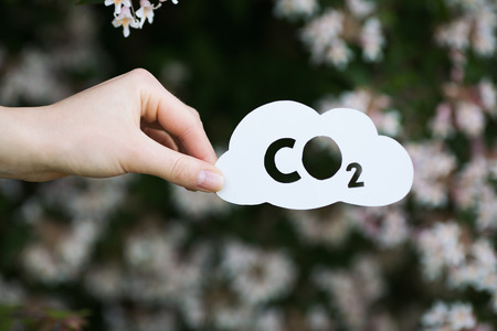 holding paper cut miniature concept of CO2 over blooming treeの写真素材