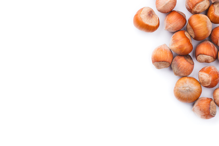 Hazelnuts on a white background.の写真素材