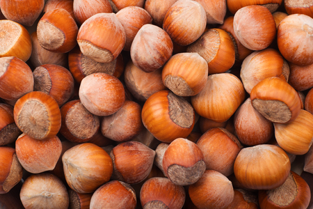 Stack of hazelnuts. Hazelnut background.の写真素材