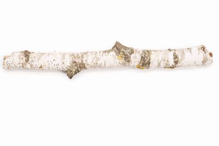abstract brown twig of dried bush with small open bolls seeds, flowers, isolated elements on white background for scrapbook, object, roughage autumn leafの写真素材