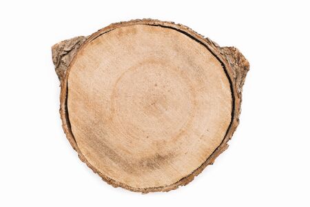 Cross section of tree trunk isolated on white backgroundの写真素材