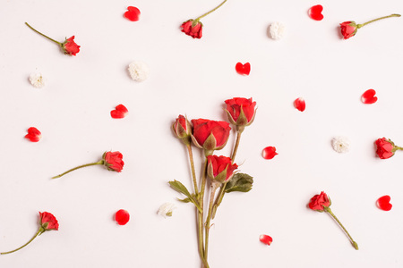 composition of roses on white backgroundの写真素材