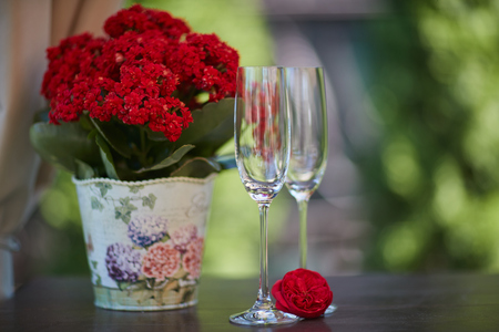 red flower in a flower pot and two champagne glasses on the table in the roomの写真素材