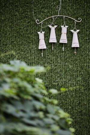 various elements for wedding decorations in natureの写真素材