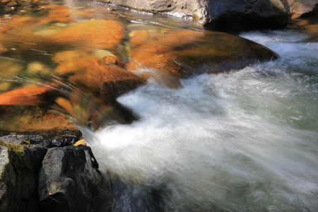 waterlineの写真素材